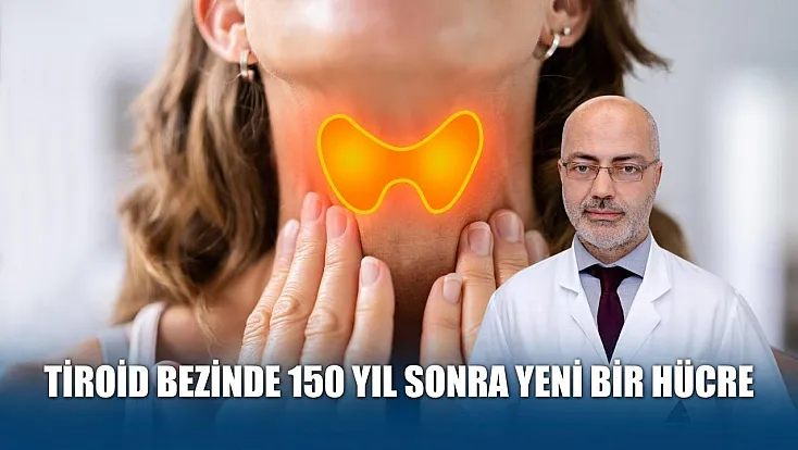 Tiroid bezinde 150 yıl sonra yeni bir hücre
