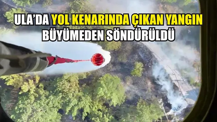 Ula'da yol kenarında çıkan yangın büyümeden söndürüldü