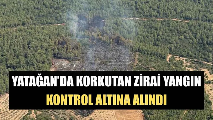 Yatağan'da korkutan zirai yangın kontrol altına alındı