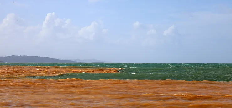 Akyaka'da denizin rengi kahverengiye döndü