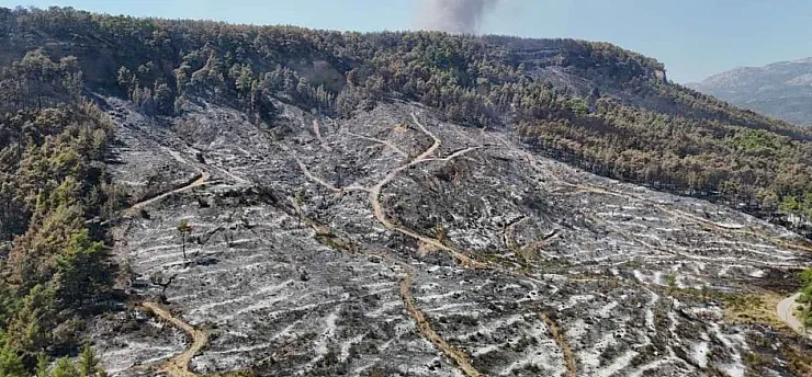 Antalya Aksu'daki orman yangını 4'üncü günde kontrol altına alındı