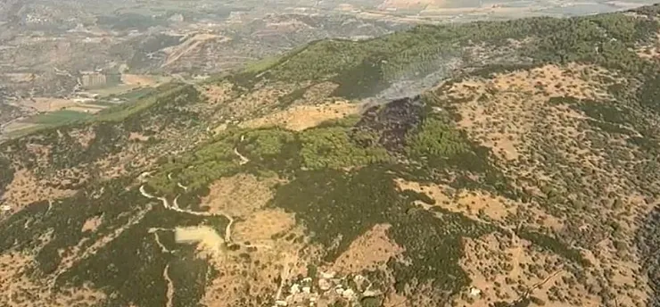 Aydın Çine'deki orman yangını kontrol altına alındı