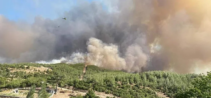 Aydın Çine orman yangınına 4 helikopter 2 uçak havadan müdahale ediyor