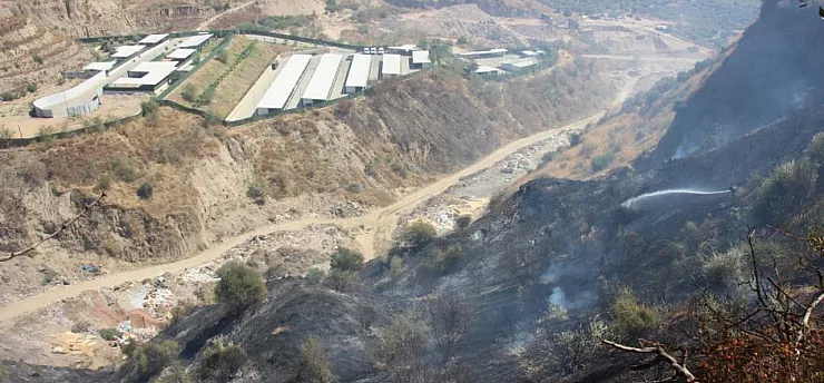 Aydın'da ekiplerin hızlı müdahalesi can dostları ve hastaneyi yanmaktan kurtardı