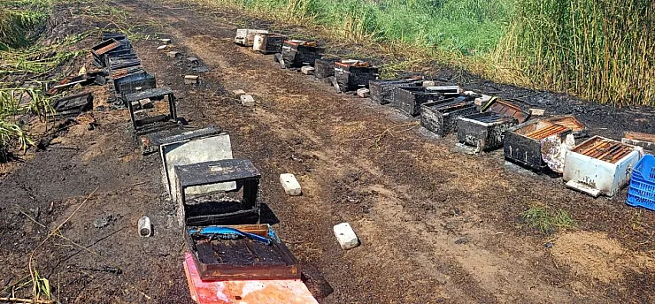 Aydın'da Yangında 20 Arı Kovanı Kül Oldu