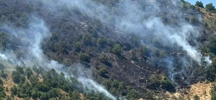 Aydın Sultanhisar yangını kontrol altına alındı