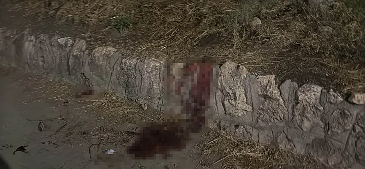 Bıçaklı kavgada 17 yaşındaki çocuk ağır yaralandı