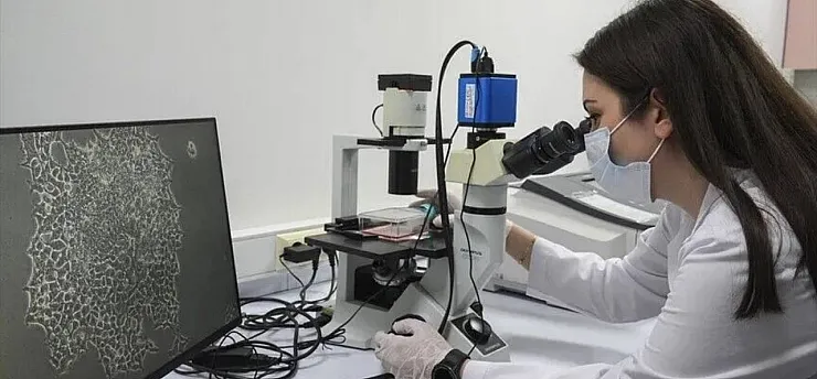 Dişten elde edilen kök hücreler 'çikolata kisti' için umut verdi