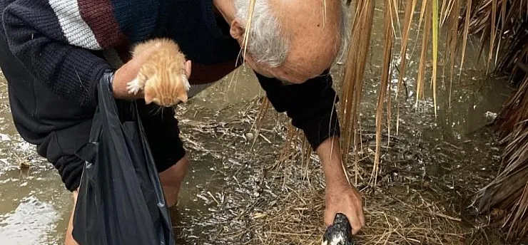 Günün kahramanı Mehmet dede: Su dolan bahçede mahsur kalan yavru kedileri kurtardı