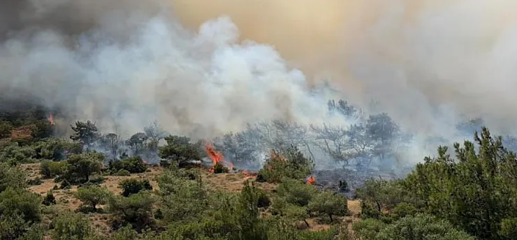 İzmir'de makilik alandaki yangına müdahale sürüyor