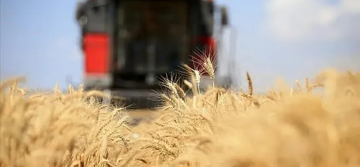 Küresel gıda fiyatları 3,5 yılın zirvesinde
