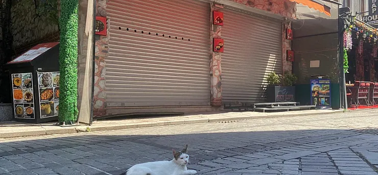 Mühürlü boş dükkandan yayılan kötü koku ekipleri harekete geçirdi