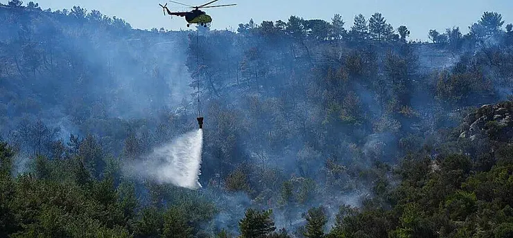 Orman yangınlarına yol açan fiillere ağır yaptırım
