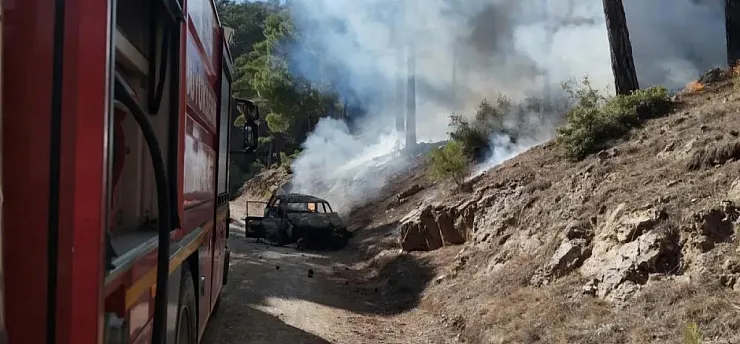 Orman yolunda alev alan otomobil yangına neden oldu