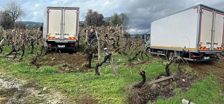 Sabıkalı yolda kamyon üzüm bağına girdi