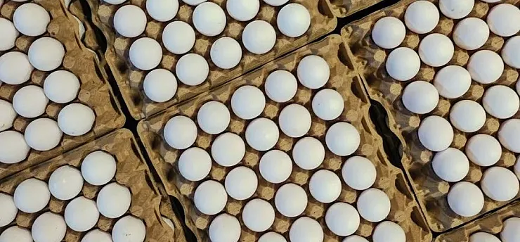 Türkiye'nin yumurta ihracatı 9 ayda 418 milyon doları aştı
