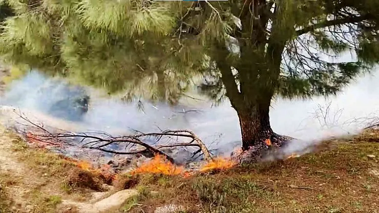 Yatağan'da orman yangını