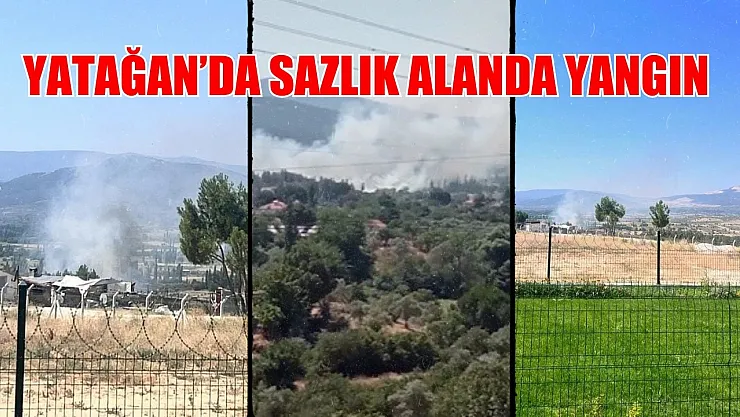 Yatağan'da sazlık alanda yangın