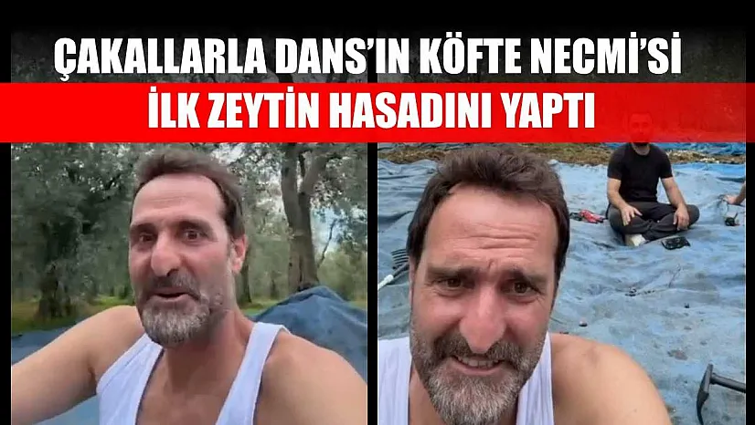 Çakallarla Dans'ın Köfte Necmi'si ilk zeytin hasadını yaptı