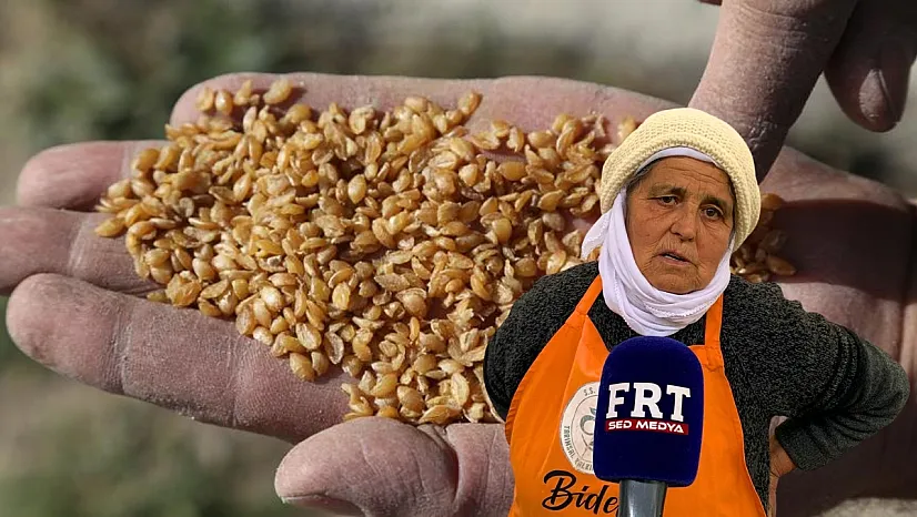 Fethiye Cuma Pazarı'nda 'Ata Tohumları' gelecek için yaşatılıyor