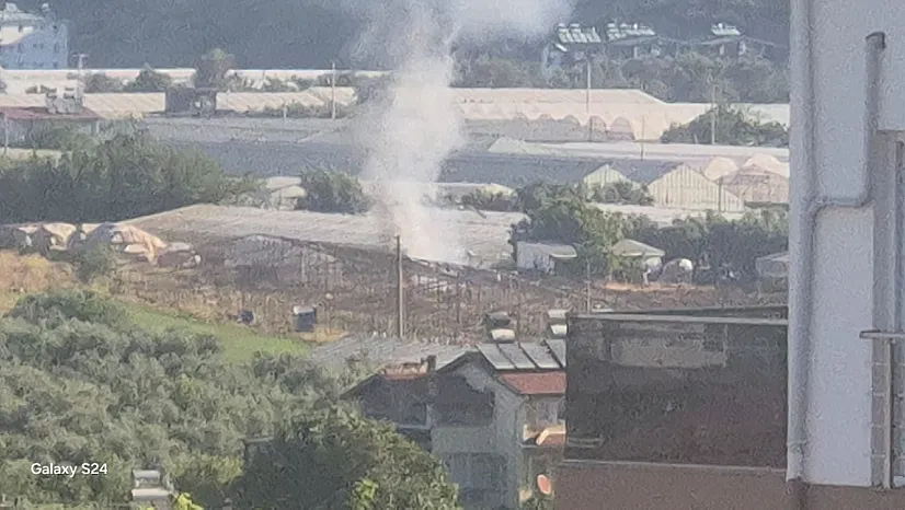 Fethiye'de zirai alan yangını itfaiyenin müdahalesiyle söndürüldü