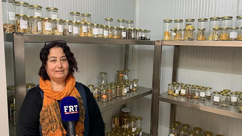 Fethiye'nin yerel tohum hazinesi gelecek nesillere emanet