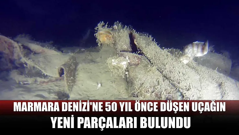 Marmara Denizi'ne 50 yıl önce düşen uçağın yeni parçaları bulundu