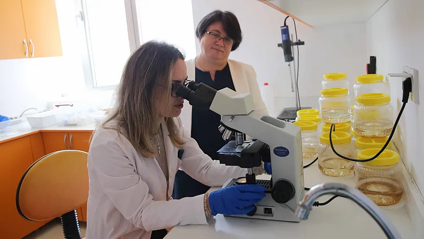 Muğla Sıtkı Koçman Üniversitesi'nden Kanser Araştırmasında Çığır Açan Denizanası ve Anemon Çalışması