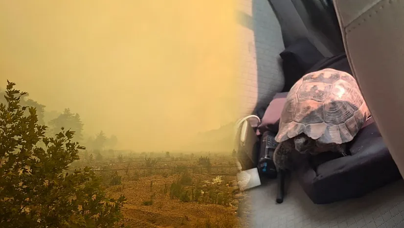 Seydikemer yangınında yoğun dumanın arasından bir can kurtarıldı