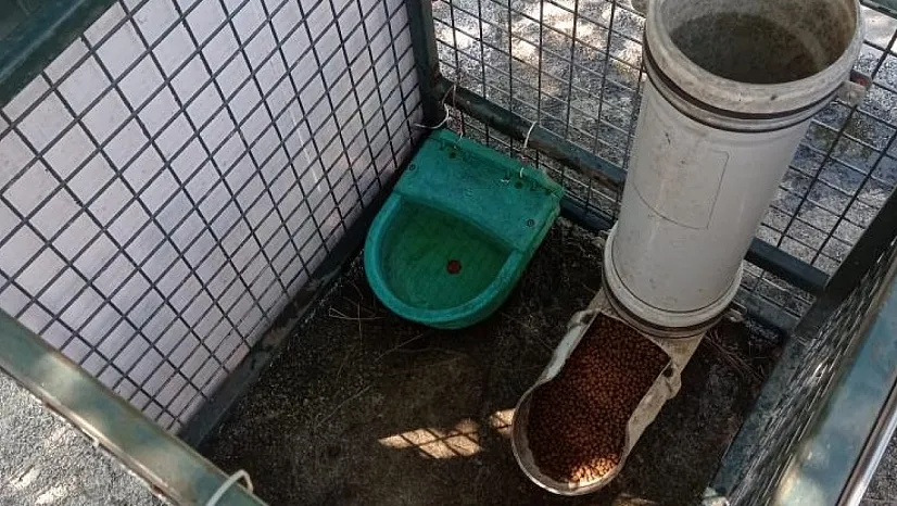 Sıcaklarda can dostlar için seferber olundu