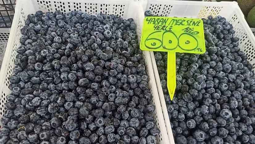 Yaban mersininde sezon sonu etkisi: Fethiye'de kilosu 600 TL