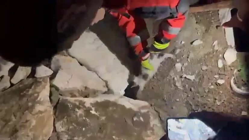 Yatağan'da duvara sıkışan kediyi itfaiye kurtardı