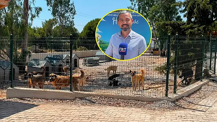 Fethiye Belediyesi'nden sokak hayvanlarına modern yaşam alanı