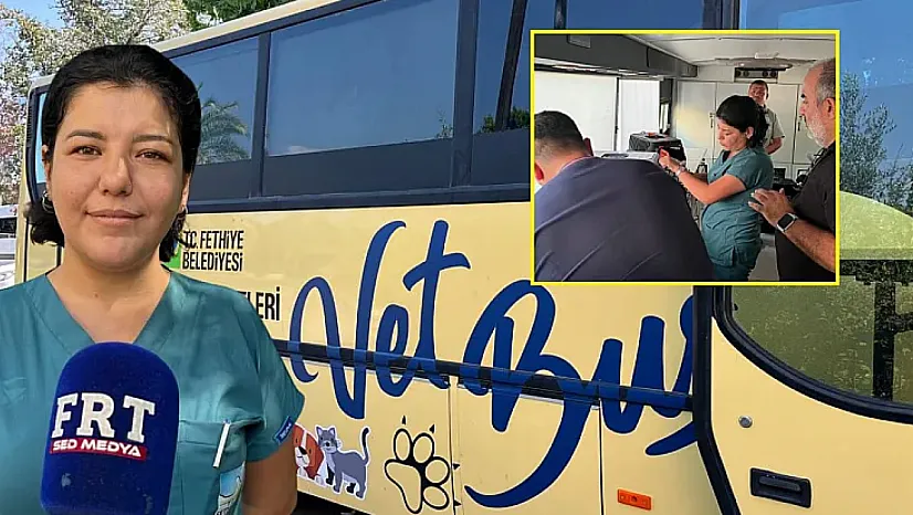 Fethiye Belediyesi VetBus ile Mahalle Mahalle Sokak Hayvanlarına Ulaşıyor