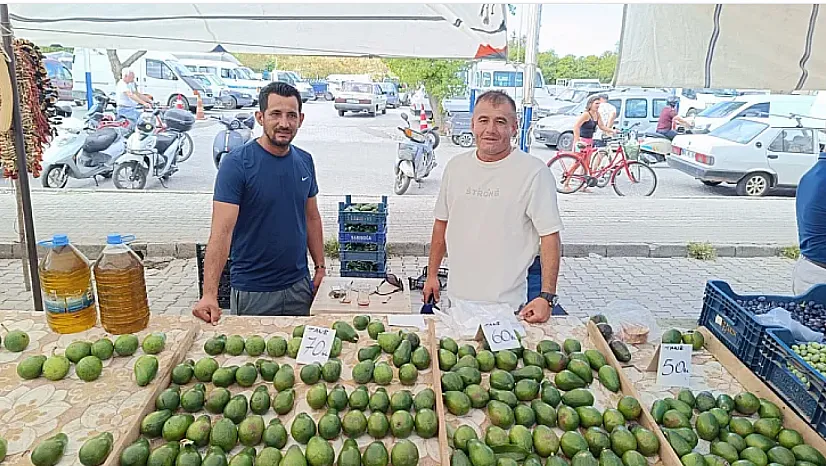 Fethiye'de avokado üreticisinden sezon uyarısı: 'Mevsimi gelmemiş ürünler piyasada'