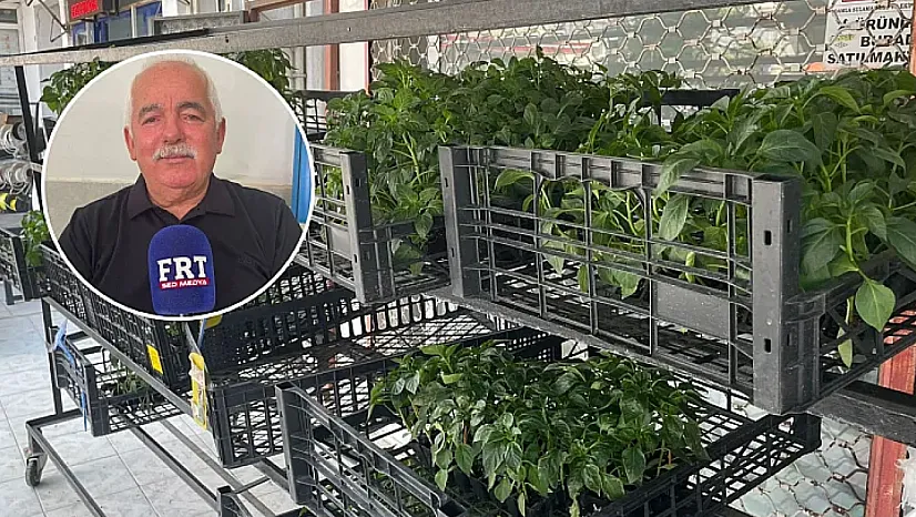 Fethiye'de üreticilere uyarı: Sıcaklıklar bitki hastalıklarını tetikliyor