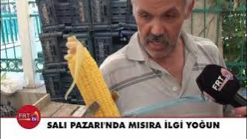 Salı Pazarı'nda Mısıra İlgi Yoğun