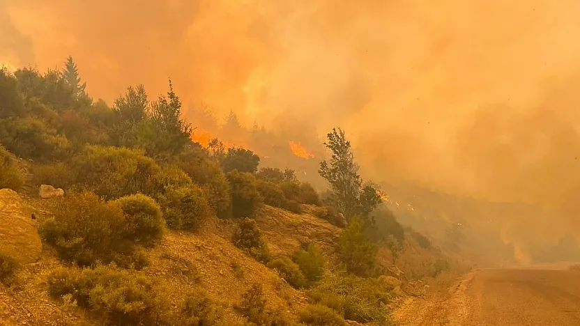 41 derece sıcaklık, saatte 70 kilometre rüzgar: Muğla için uyarı