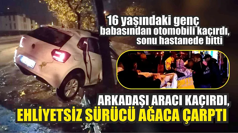 Arkadaşı aracı kaçırdı, ehliyetsiz sürücü ağaca çarptı