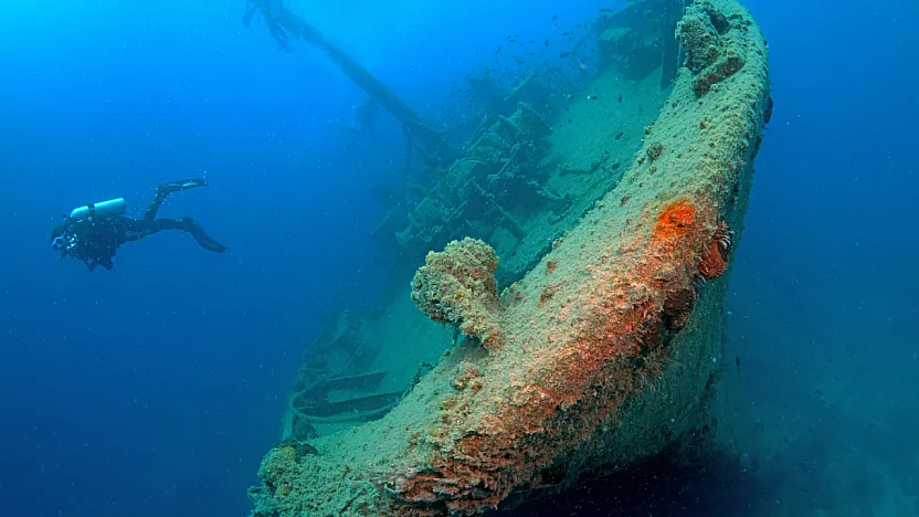 Bodrum açıklarındaki Yassıada'da su altı mirası kontrollü dalışlarla keşfediliyor