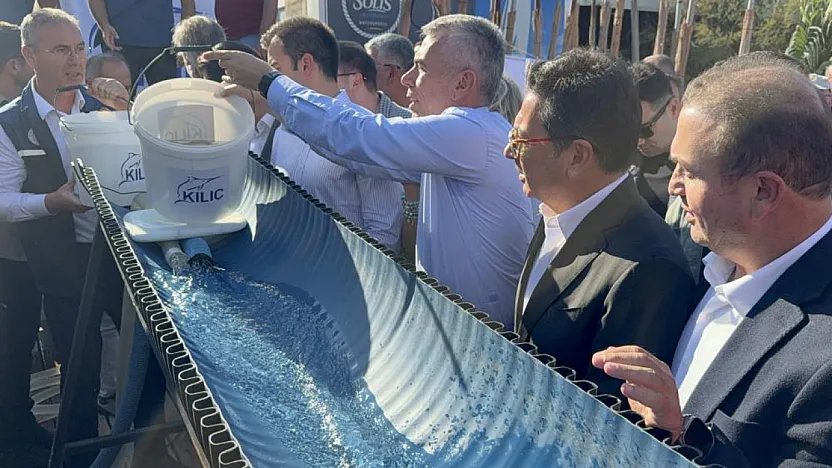 Bodrum Balık festivalinde 6 bin yavru balık denizle buluştu