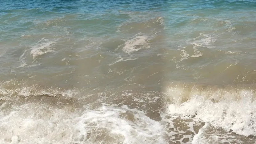 Bodrum'da deniz kirliliği: 'Başsavcılık soruşturma başlattı'