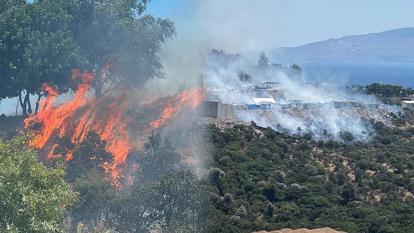Bodrum'da konteynerde başlayıp makilik alana sıçrayan yangın söndürüldü
