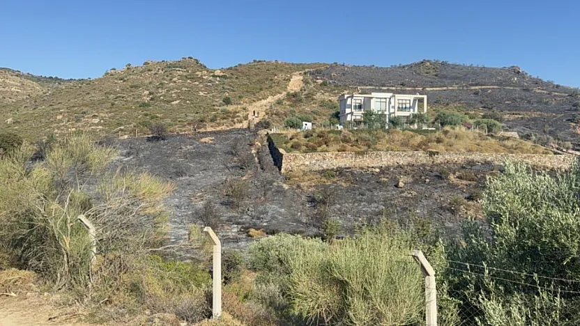 Bodrum'da makilik yangını kontrol altına alındı