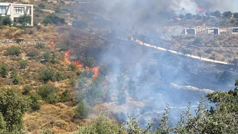 Bodrum'da makilik yangını
