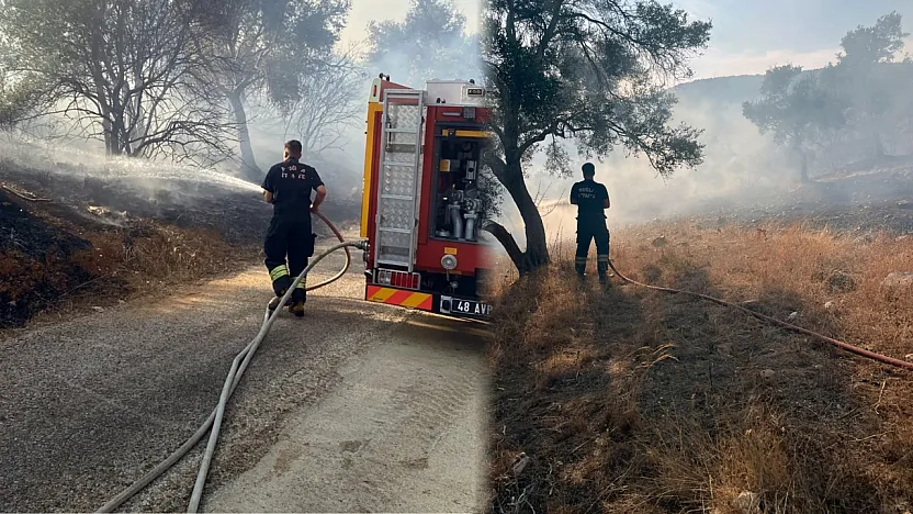 Bodrum-Milas karayolu üzerinde ot yangını