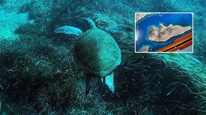 Bodrum'un su altı ekosistemini haritalama çalışmaları sürüyor