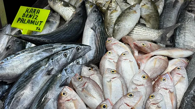 Fethiye Balık Pazarı'nda haftanın indirim şampiyonu palamut