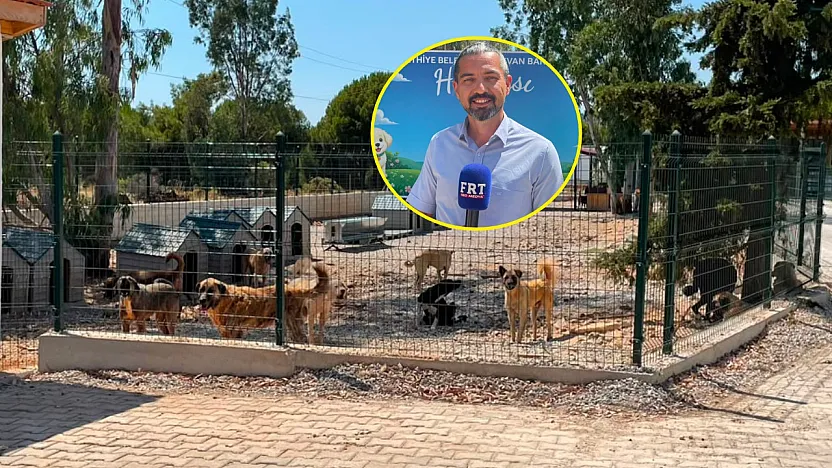 Fethiye Belediyesi'nden sokak hayvanlarına modern yaşam alanı