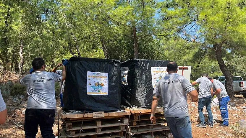 Fethiye'de Doğal Yaşama Destek: Arı İçme Suyu Noktaları Yenilendi